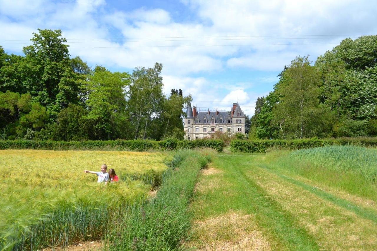 Chateau Le Boisrenault Buzançais Eksteriør billede